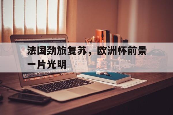 法国劲旅复苏，欧洲杯前景一片光明的简单介绍